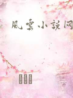 风云小说网