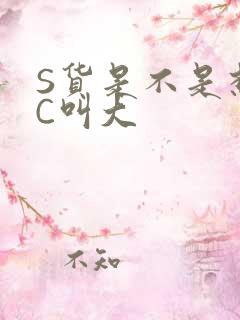 S货是不是想挨C叫大