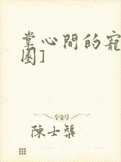 掌心间的宠[校园]