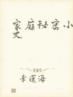 家庭秘密小说全文
