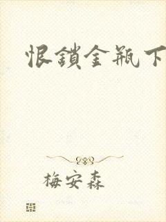 恨锁金瓶下载