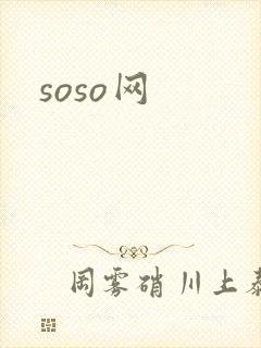 soso网