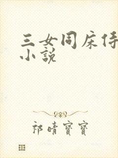 三女同床侍一夫小说