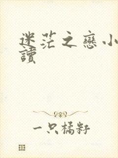 迷茫之恋小说阅读