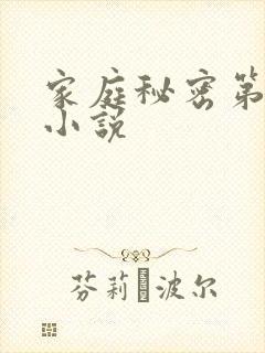 家庭秘密第3集小说