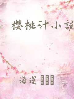 樱桃汁小说