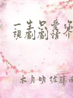 一生只爱你 电视剧剧情介绍