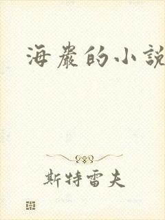 海岩的小说