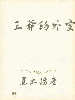 王爷的外室