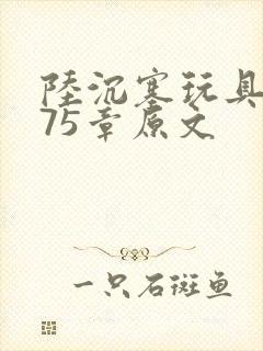 陆沉塞玩具高速75章原文