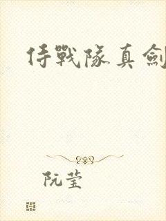侍战队真剑者2