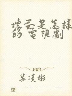 坏蛋是怎样炼成的 电视剧