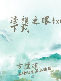 透视之眼txt下载