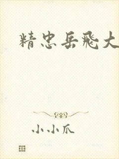 精忠岳飞大结局