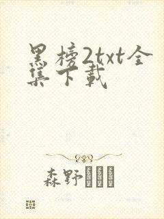 黑榜2txt全集下载
