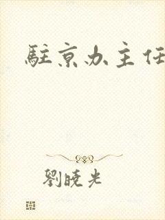 驻京办主任对手