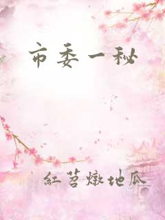 市委一秘