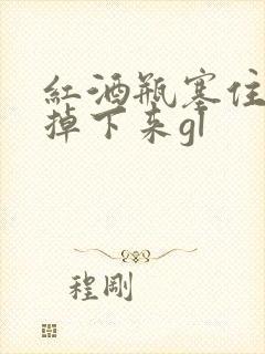 红酒瓶塞住不准掉下来gl