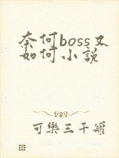 奈何boss又如何小说