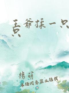 王爷揉一只舔一只