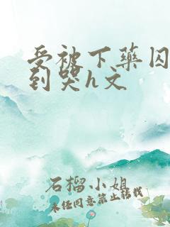 受被下药囚禁脔到哭h文