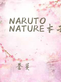NARUTO NATURE本子
