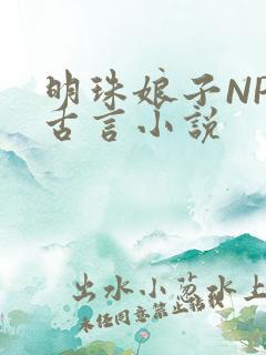 明珠娘子NPC古言小说