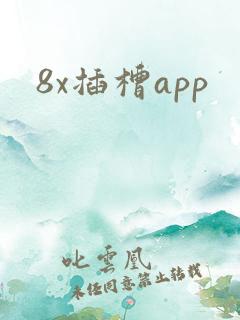 8x插槽app