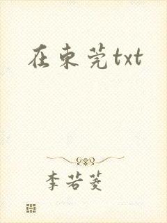 在东莞txt