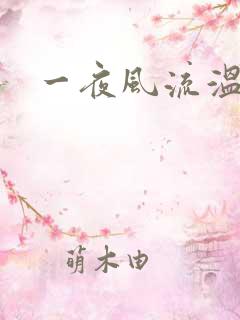 一夜风流温暮生