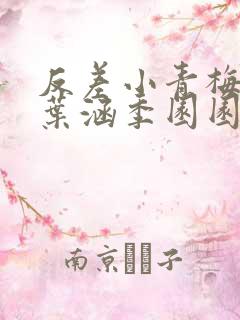 反差小青梅不经叶涵季园园