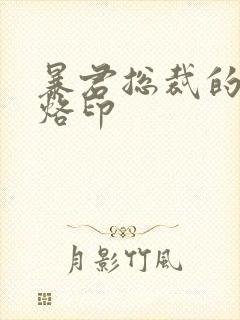 暴君总裁的狂烈烙印