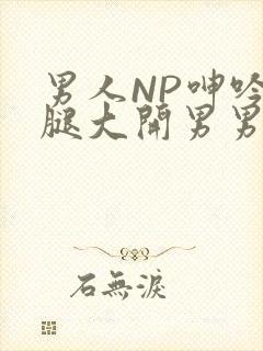 男人NP呻吟双腿大开男男小说