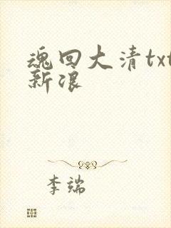 魂回大清txt新浪
