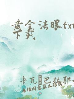 黄金法眼txt下载