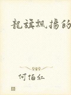 龙旗飘扬的舰队