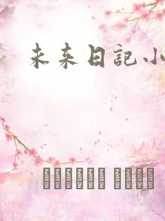 未来日记小说