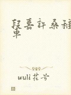 段嘉许桑稚浴室车