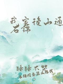 我家后山通仙界石锦