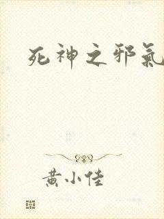 死神之邪气一护