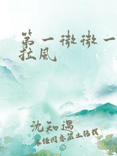 第一微微一笑很拉风