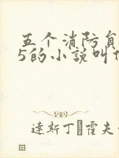 五个消防员1v5的小说叫什么