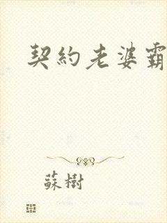 契约老婆霸总裁