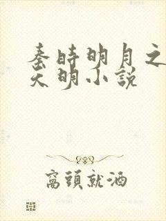 秦时明月之夜尽天明小说