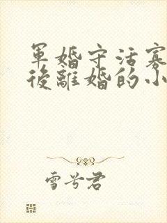 军婚守活寡重生后离婚的小说