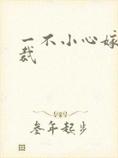 一不小心嫁给总裁