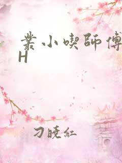 丛小吃师傅的HH