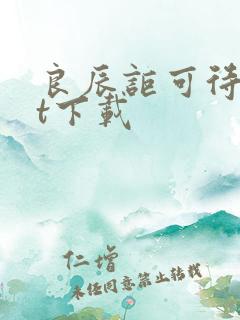 良辰讵可待txt下载