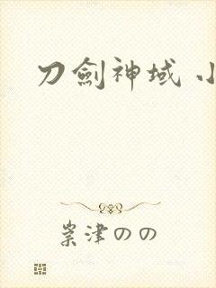 刀剑神域 小说