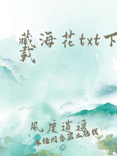 藏海花txt下载